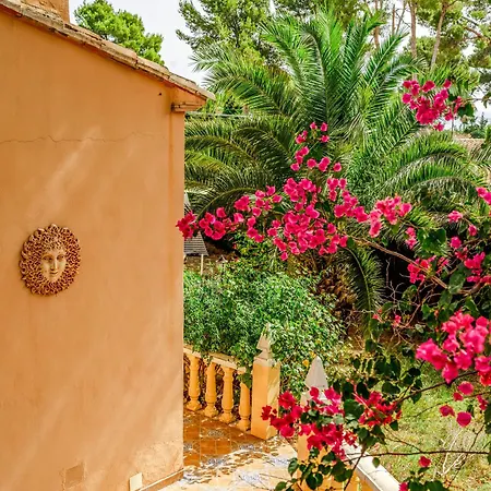 La Mediterranea De Heracles En دينايا